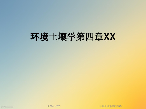 环境土壤学第四章XX
