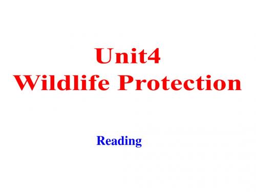 人教版高中英语必修二Unit4__Reading市级公开课课件(共26张PPT)