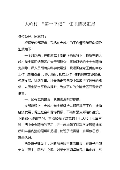 大岭村 “第一书记” 任职情况汇报