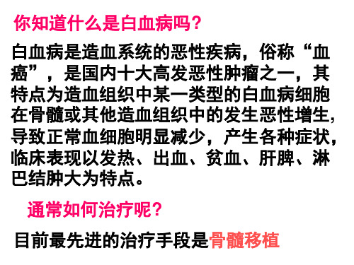 细胞的分化优秀课件