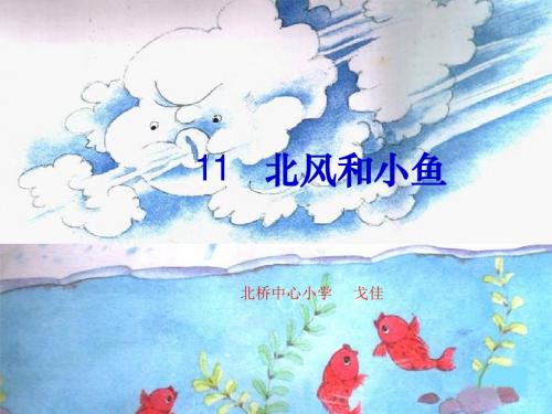 北风和小鱼.ppt