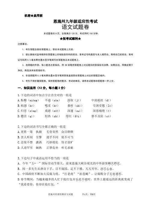 恩施州九年级语文中考测试题(参考卷)A01