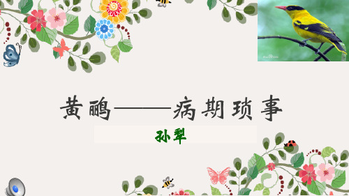 黄鹂——病期琐事