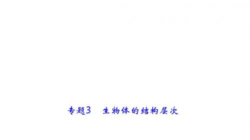 中考生物复习专题3 生物体的结构层次