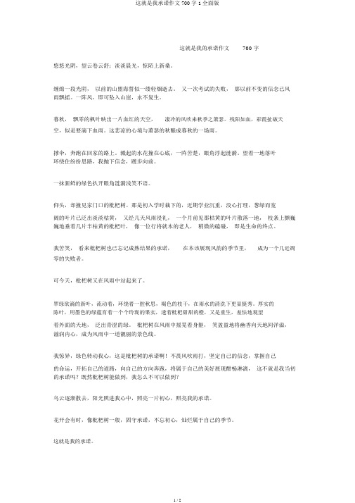 这就是我承诺作文700字1全面版