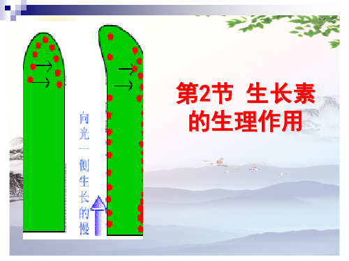 高中生物必修3第三章第2节-生长素(IAA)的生理作用(共30张PPT)[优秀课件][优秀课件]