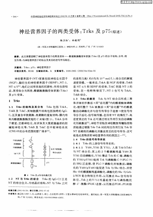神经营养因子的两类受体：Trks及p75(综述)