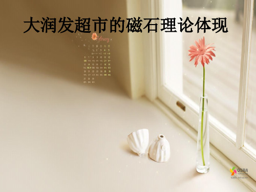 磁石理论