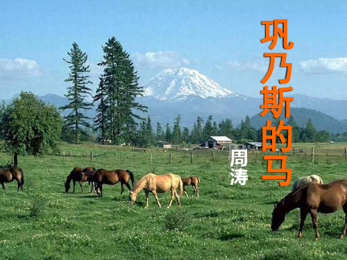 巩乃斯的马精选教学PPT课件