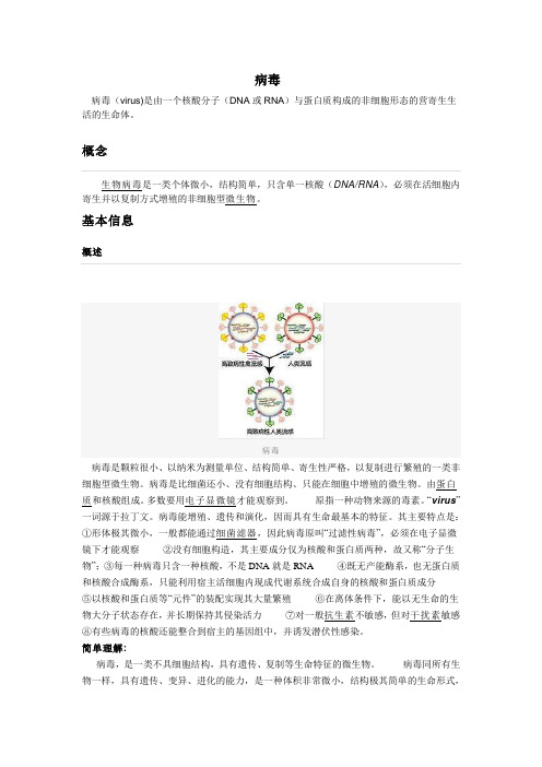 病毒