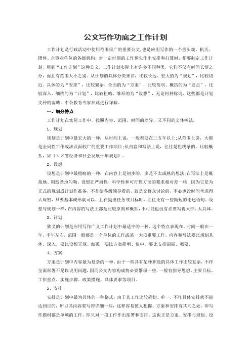 公文写作功底之工作计划(含范文)