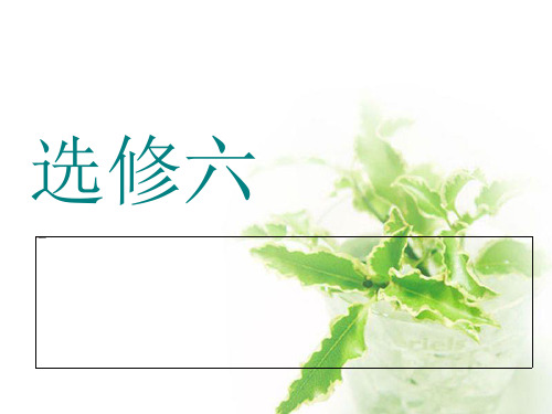 2019年高三英语一轮复习课件选修六Unit3Understanding each other
