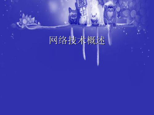 计算机网络概述 PPT