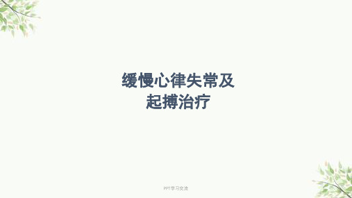 缓慢心律失常及起搏治疗ppt课件