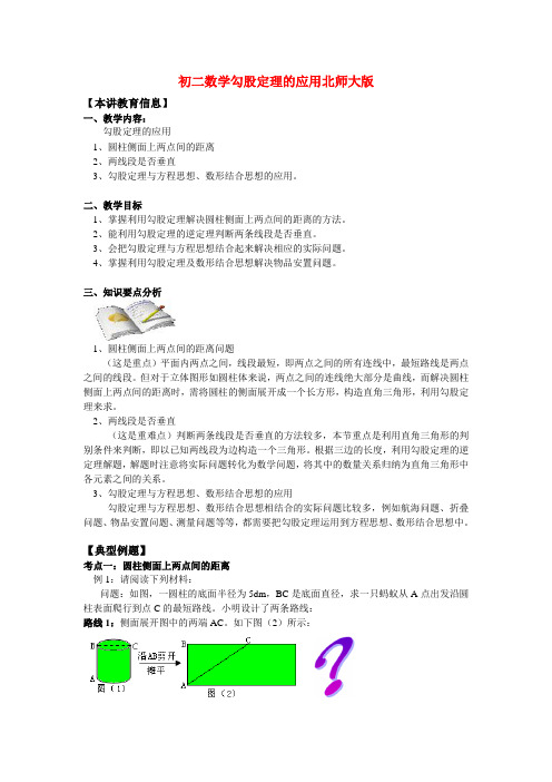 八年级数学勾股定理的应用北师大版