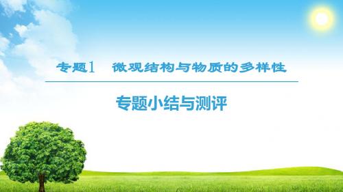 苏教版高一化学必修2 专题小结与测评 微观结构与物质的多样性