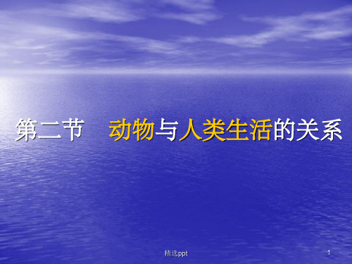 《动物与人的关系》PPT课件