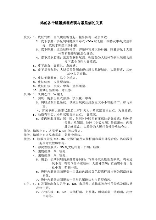 鸡的各个脏器病理表现与常见病的关系
