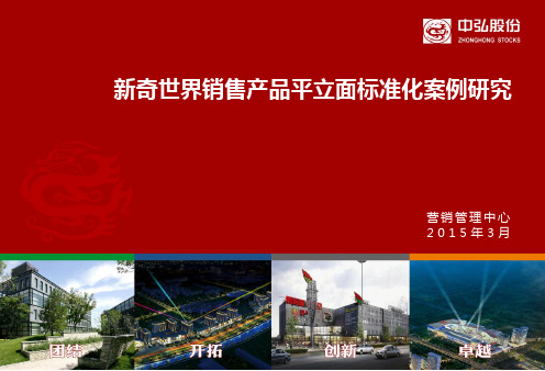新奇世界销售类产品标准化案例研究