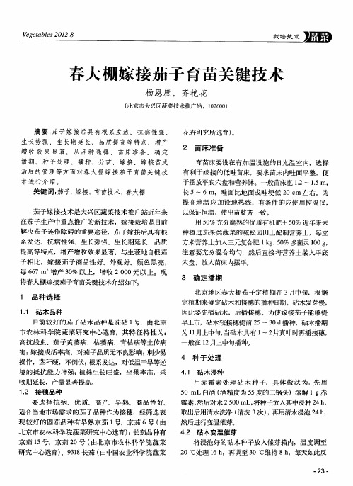 春大棚嫁接茄子育苗关键技术
