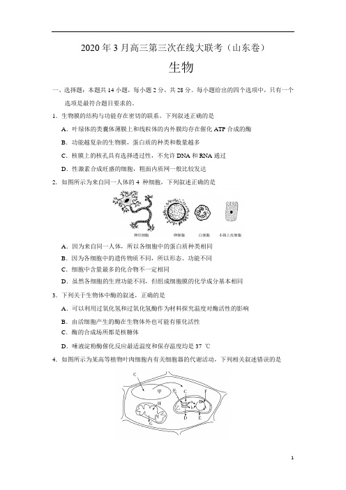 山东省2020年3月高三第三次在线大联考生物试题含答案解析