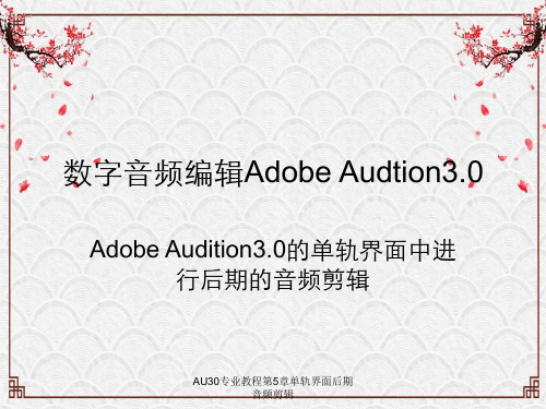 AU30专业教程第5章单轨界面后期音频剪辑