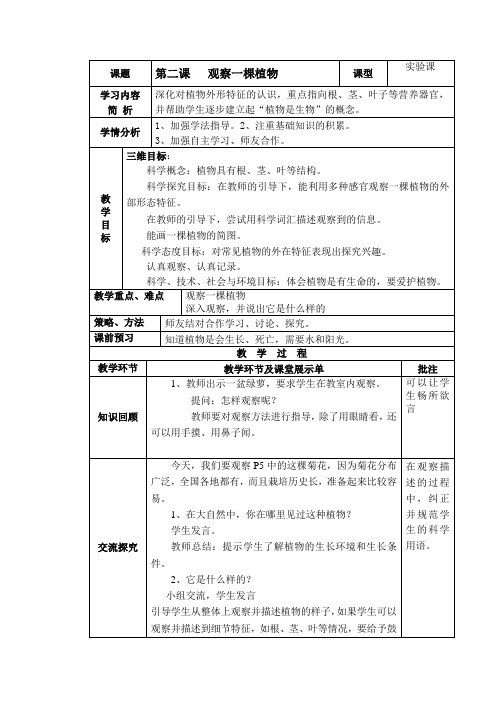 一年级上册科学教案-1.2 观察一棵植物-教科版