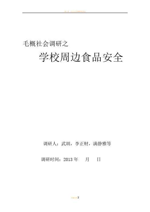 毛概社会调研策划书