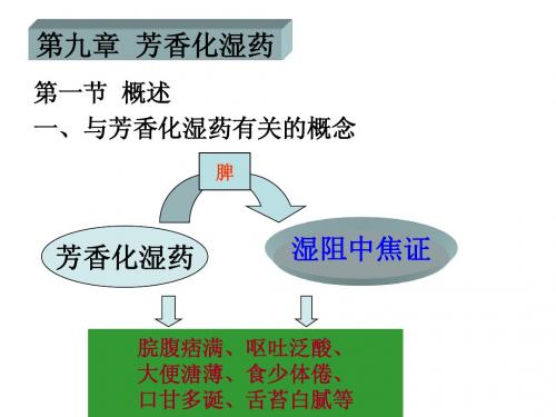 芳香化湿药