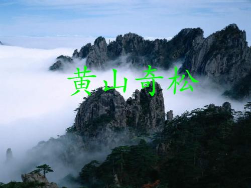 苏教版五年级上册《黄山奇松》PPT课件3