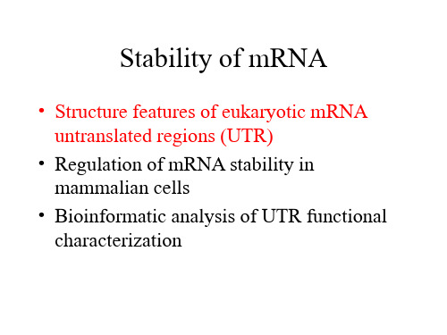 mRNAstability