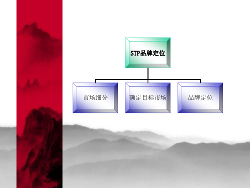 森马STP分析