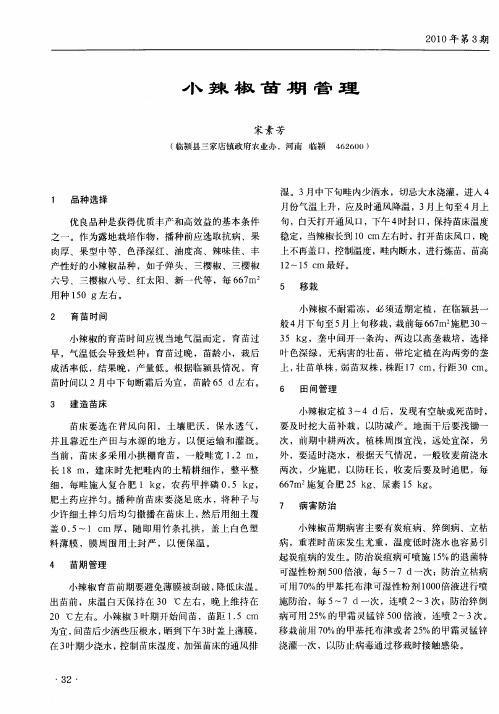 小辣椒苗期管理