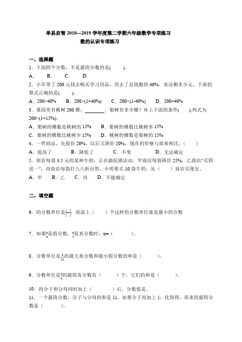 山东省单县启智学校届六年级下学期数学数的认识专项练习