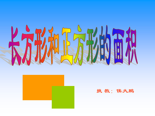 苏教版长方形和正方形的面积计算