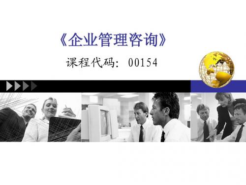 自考企业管理咨询第八章_咨询实施