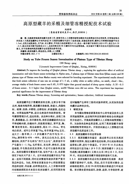 高原型藏羊的采精及细管冻精授配技术试验