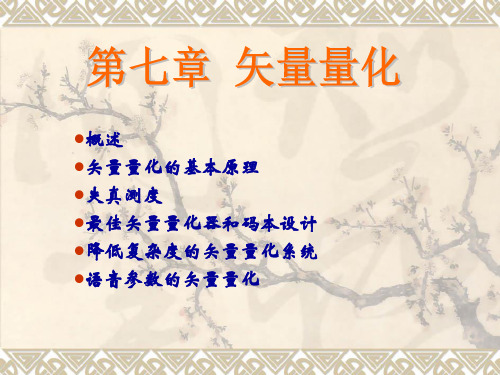 07语言信号处理第七章矢量量化