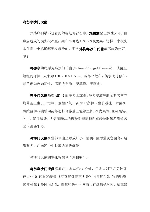 鸡伤寒沙门氏菌