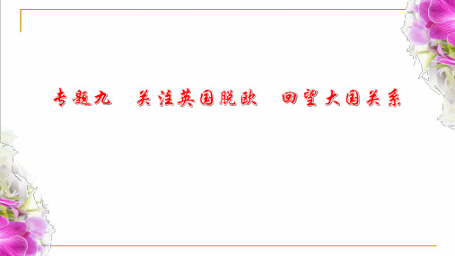 安徽中考历史复习热点专题课件专题：专题九 关注英国脱欧 回望大国关系