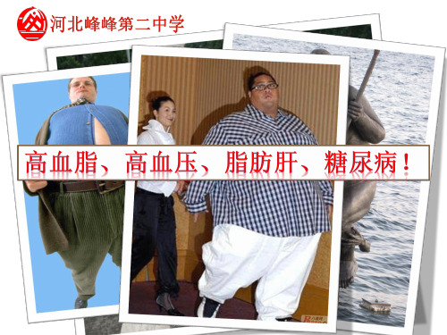 2.4《细胞中的糖类和脂质》课件人教版(共27张PPT)