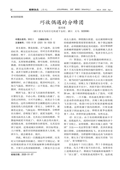 巧收偶遇的分蜂团