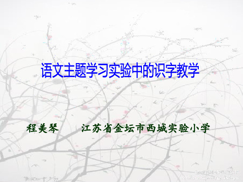 语文主题学习讲座(2)