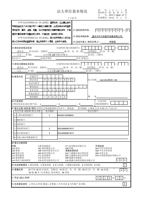 101-1表-法人单位基本情况