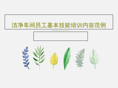 洁净车间员工基本技能培训内容范例33页PPT