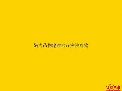 鞘内药物输注治疗癌性疼痛ppt正式完整版