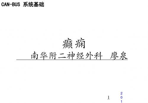 中国癫痫临床诊疗指南ppt课件
