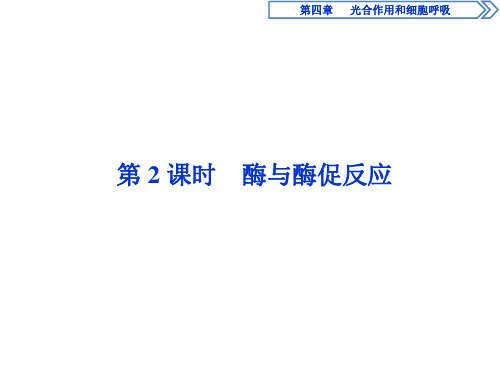 4.1.2 酶与酶促反应