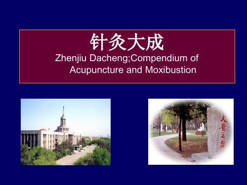 1.针灸大成概述