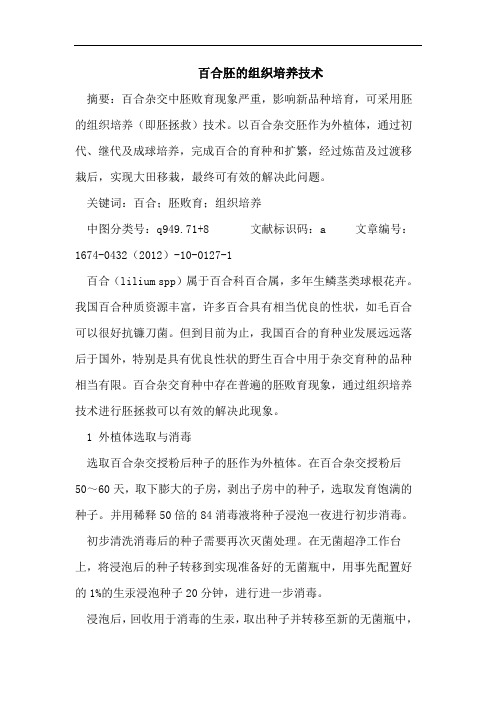 百合胚的组织培养技术